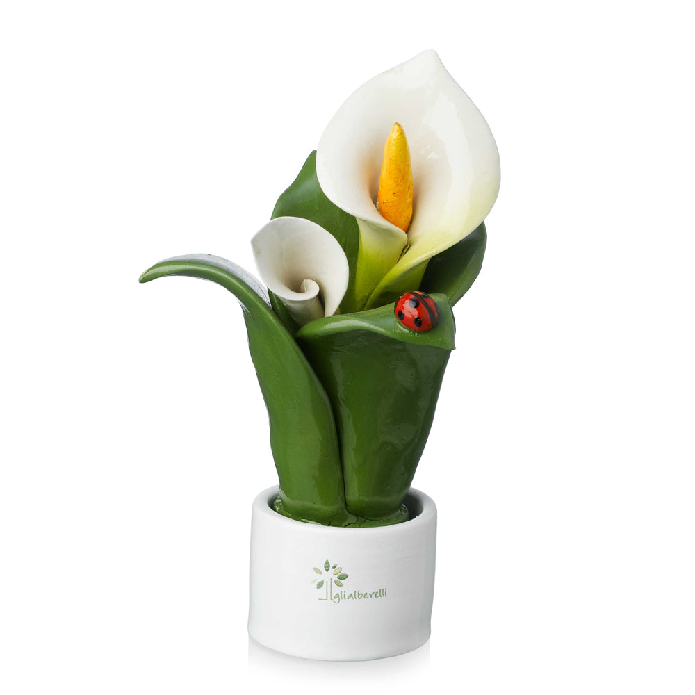 Gli Alberelli-PIANTA NATURA 2 FIORI CALLA